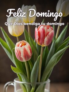 Postales del día domingo para celular
