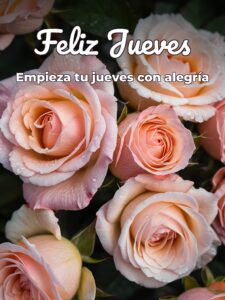 Postales del jueves
