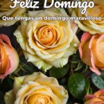 feliz domingo que tengas un domingo maravilloso