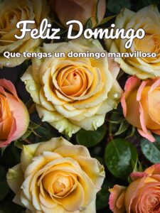 Postales domingo para celular