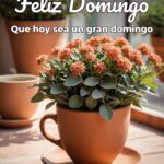 feliz domingo que hoy sea un gran domingo