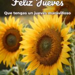 feliz jueves que tengas un jueves maravilloso