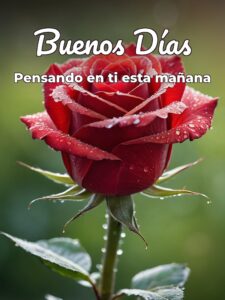 Preciosas imágenes de buenos días para mi amor