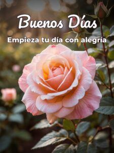 Preciosas imágenes de buenos días para WhatsApp