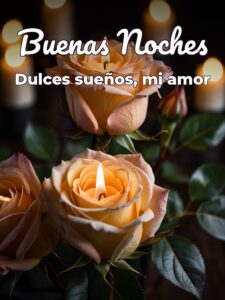 Que tengas buenas noches amor para Facebook