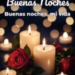 buenas noches buenas noches, mi vida