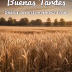 buenas tardes disfruta de esta hermosa tarde