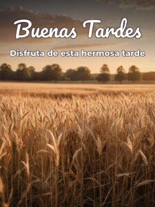 Que tengas buenas tardes para Facebook y WhatsApp