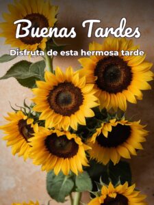 Que tengas una linda tarde para WhatsApp celular