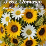 feliz domingo que dios bendiga tu domingo