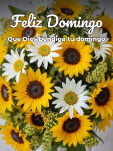 Reflexión para hoy domingo para celular