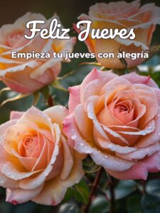 Reflexiones para hoy jueves