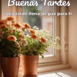 buenas tardes una tarde llena de paz para ti