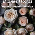 buenas noches buenas noches, mi vida