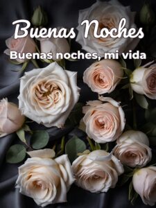 Saludos de buenas noches amor para Facebook