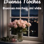 buenas noches buenas noches, mi vida