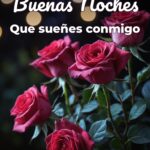buenas noches que sueñes conmigo