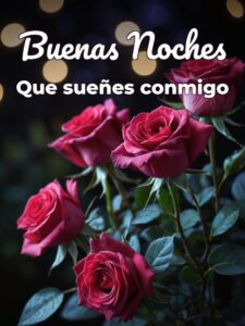 Saludos de buenas noches de amor para WhatsApp