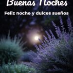 buenas noches feliz noche y dulces sueños