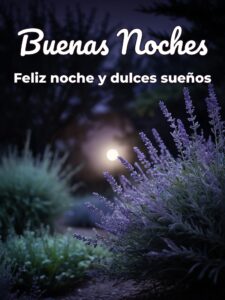 Saludos de buenas noches romanticos