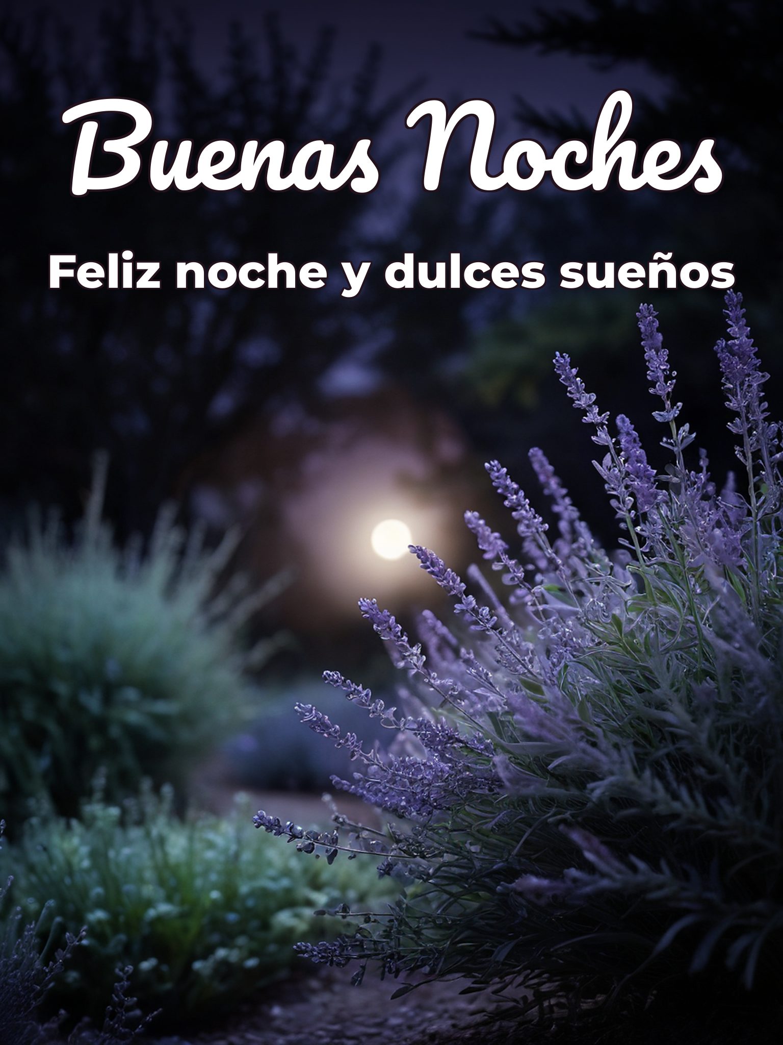Saludos de buenas noches romanticos