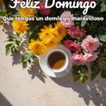feliz domingo que tengas un domingo maravilloso