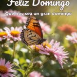 feliz domingo que hoy sea un gran domingo