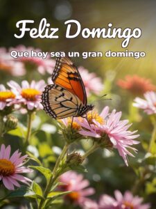 Saludos de domingo para compartir para celular