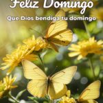 feliz domingo que dios bendiga tu domingo