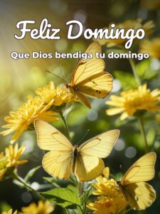 Saludos por día domingo para celular