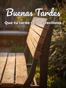Tarde bonita para WhatsApp celular