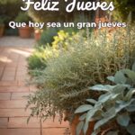 feliz jueves que hoy sea un gran jueves