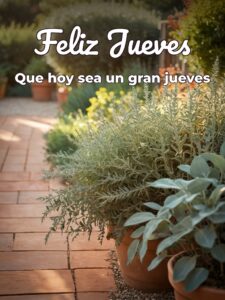 Tarjetas bonitas del día jueves