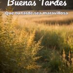 buenas tardes que tu tarde sea maravillosa
