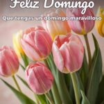 feliz domingo que tengas un domingo maravilloso