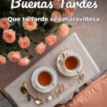 buenas tardes que tu tarde sea maravillosa