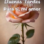 buenas tardes para ti, mi amor
