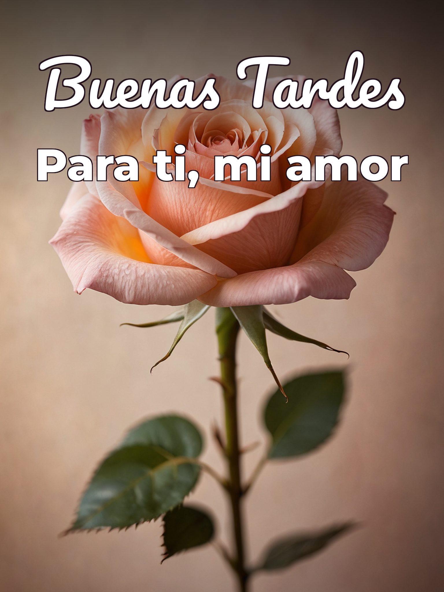 Tarjetas de buenas tardes para mi amor para WhatsApp celular