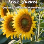 feliz jueves que tengas un jueves maravilloso