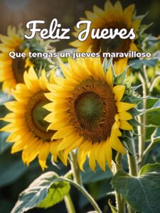 Tarjetas de día jueves para celular descargar