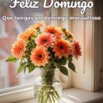 feliz domingo que tengas un domingo maravilloso