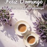 feliz domingo que dios bendiga tu domingo