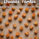 buenas tardes que tengas una tarde preciosa, mi vida