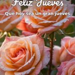 feliz jueves que hoy sea un gran jueves