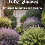feliz jueves empieza tu jueves con alegría