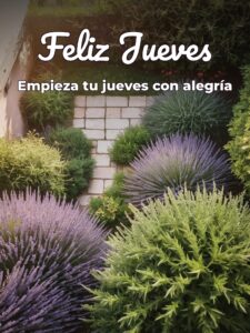 Tarjetas jueves para celular descargar