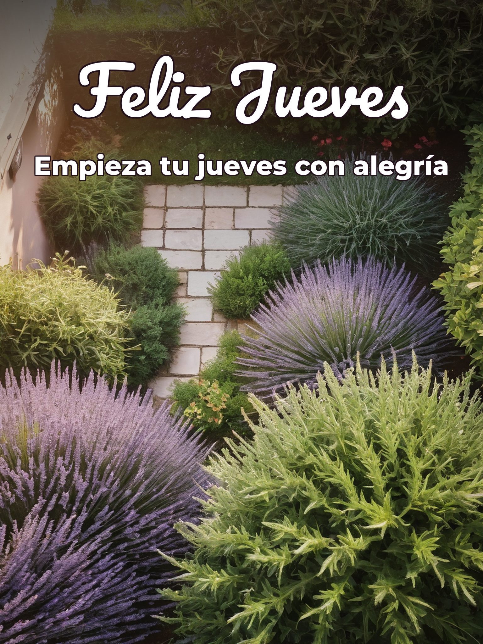 Tarjetas jueves para celular descargar