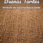 buenas tardes disfruta de esta hermosa tarde