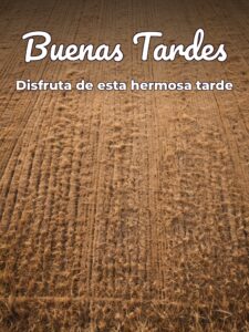 Tarjetas para dar las buenas tardes para WhatsApp celular