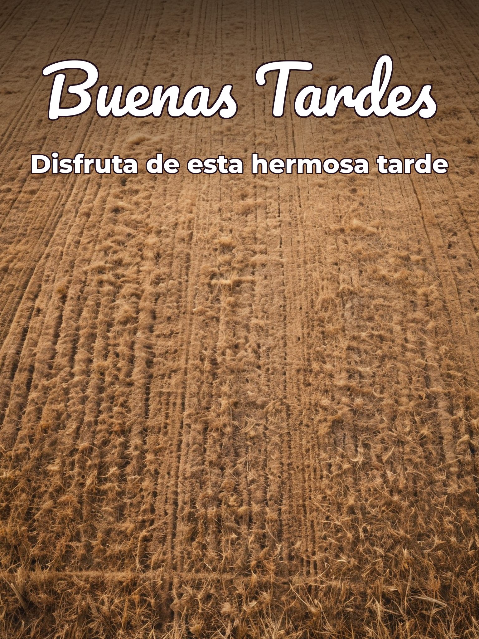 Tarjetas para dar las buenas tardes para WhatsApp celular